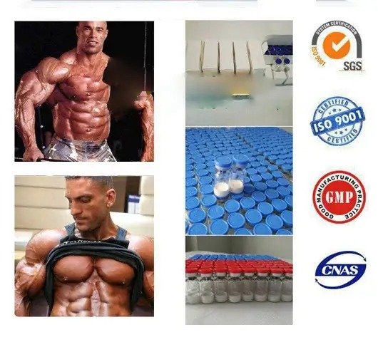 Legal Peptides Wholesale